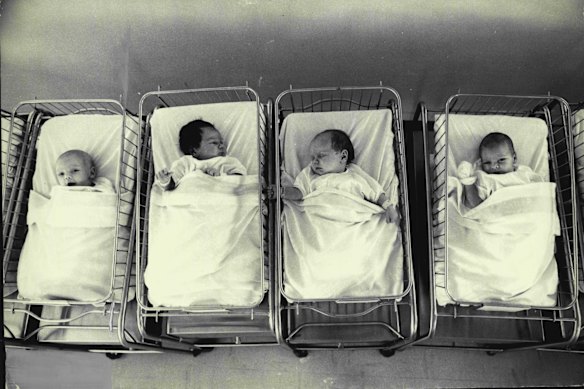Babies waiting for adoption at the Crown Street Women’s Hospital in 1973