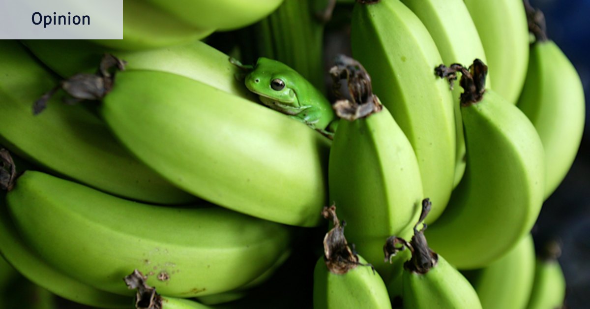 Instead of procrastinating at work, try ‘eating the frog’