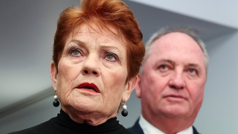 Pauline Hanson all but guarantees preference deal with Coalition as GetUp launches campaign for independent