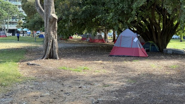 Homeless people living in long-term tent encampments across Brisbane’s parks have received an influx of information in the week since the lord mayor announced the council would move them on.