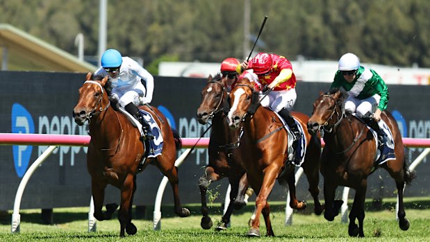 Ashley Morgan rides Hidden Motive to victory.