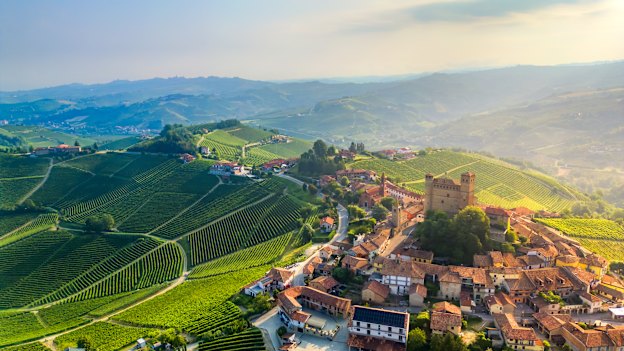 The vineyards of Serralunga d’Alba in the Piedmont region of Italy.