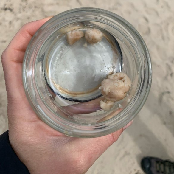 Chunks of salmon fat mixed with sand washed ashore at Verona Sands, Tasmania.