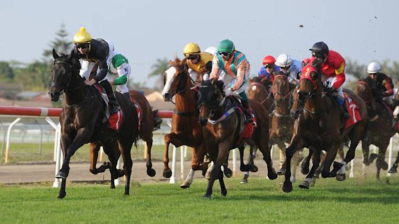 Race-by-race preview and tips for Tuesday’s meeting at Port Macquarie