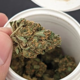 Montu’s Circle brand of cannabis.