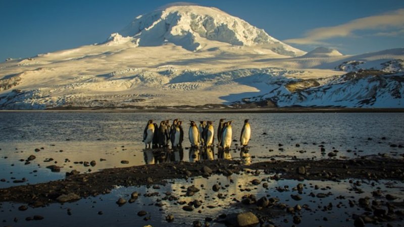 Climate modelling team slashed, sparking fears for Australia’s climate predictions