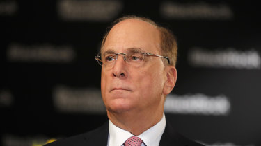 BlackRock founder Larry Fink has sent a powerful signal to markets - but how much can his own company's funds apply the new climate change mantra?
