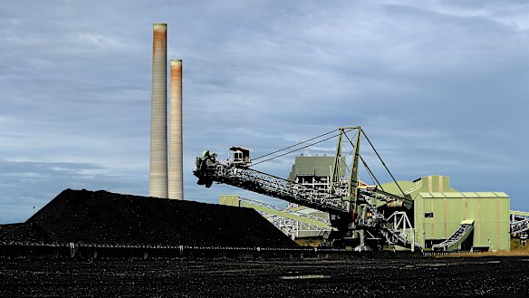 A stockpile of coal at Eraring Power Station.