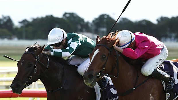 Just Party, right, comes second to Media World in the Hawkesbury Guineas.