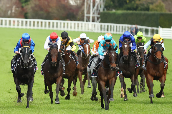 Wagga Wagga hosts an eight-race card on Thursday.