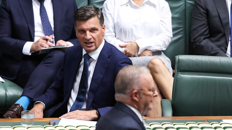 Angus Taylor launches campaign against adding 40 MPs