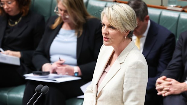 Minister for Social Services Tanya Plibersek.