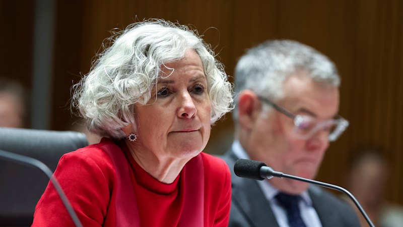 Home Affairs to lose hundreds of jobs in budget squeeze