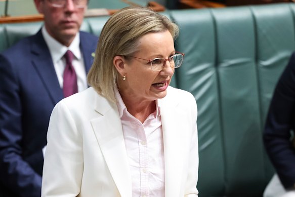 Opposition Leader Sussan Ley’s decision to attack the prime minister for wearing a band t-shirt has become a distraction for the Coalition.