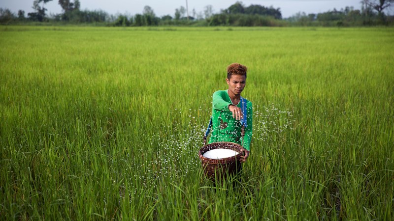 Food prices set to rise amid global fertiliser shortage