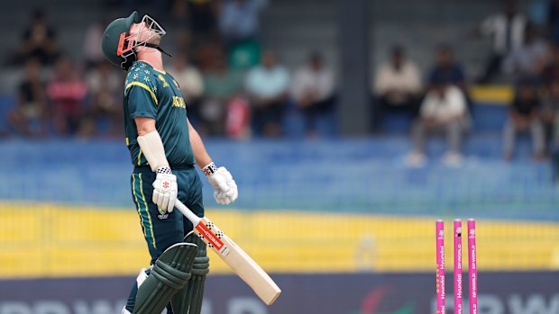 Travis Head reacts after being bowled against Zimbabwe.