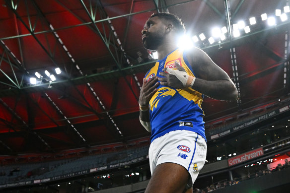 Liam Ryan was trying to de-escalate an incident when he was drawn into a brawl last month, the AFL said.