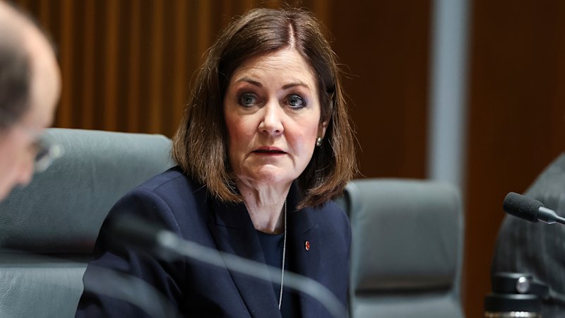 Liberal slams b Defence ‘fire sale’ as officials seek to calm foreign interest fears