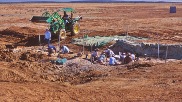 L'équipe a utilisé des engins de terrassement pour atteindre les énormes ossements du site de Cooper Creek, d'après lesquels le spécimen principal, 