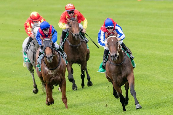 Warwick Farm is the place to be for racing on Wednesday.