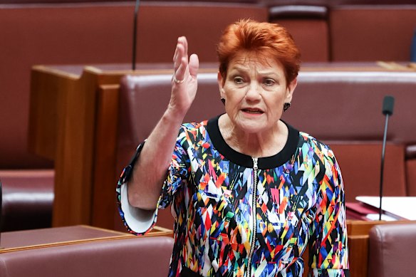 One Nation leader Senator Pauline Hanson speaking in the Senate yesterday. 