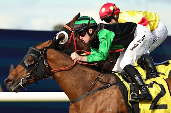 Josh Parr wins on Thunderlips at Rosehill last weekend. He has everything made to order if he handles the back-up.