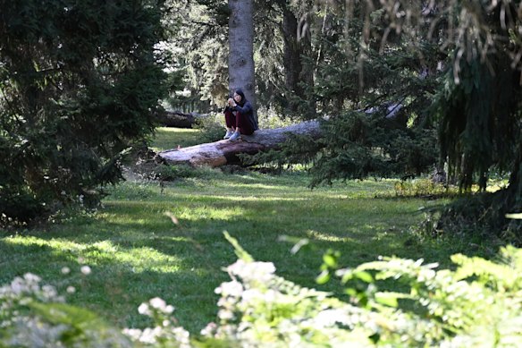 A young doctor participates in a forest-bathing exercise.  A professor at Japan’s Nippon Medical School says even a walk in a city park has benefits, but “the larger the forest area, the greater the effects”.