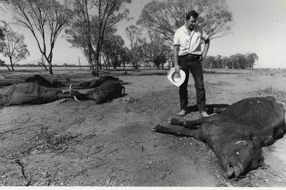 A Super El Niño brought a crushing drought to Australia in 1982-83.