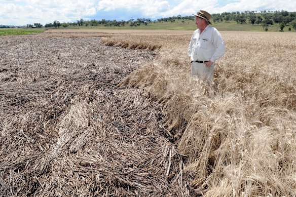 NSW Farmers president Xavier Martin supports the proposed planning changes.