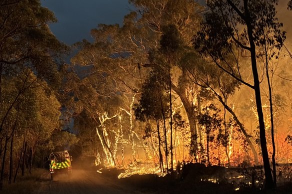 Trees on fire around Wallaby Rocks in the Grampians National Park on Friday.
