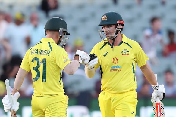 David Warner and Travis Head during their days opening together.