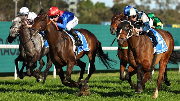 War Eternal (second from left) wins at Rosehill on August 16.