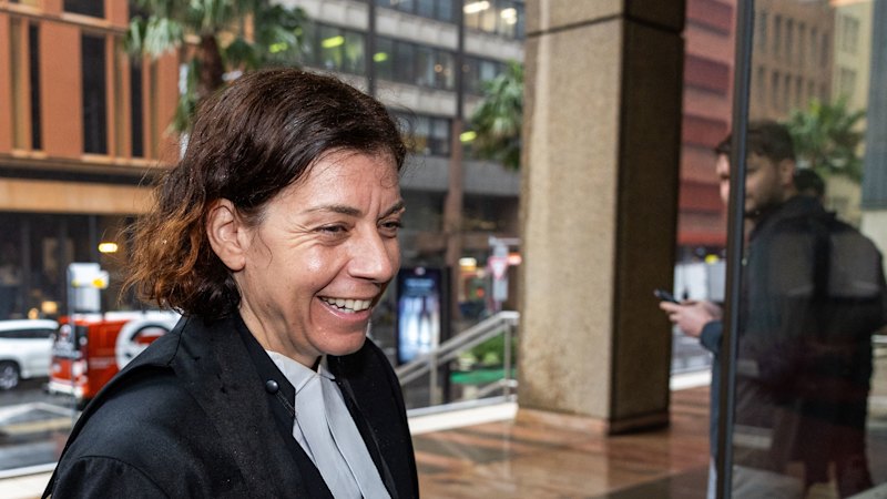 Lawyer Sue Chrysanthou engaged by Royel Otis’ Leroy Bressington for Reddit clean-up