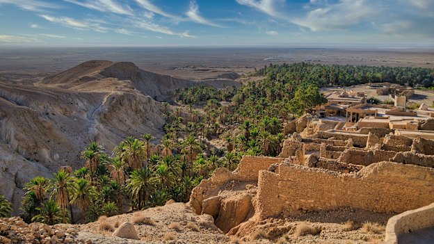 Palms at Tozeur, “Tunisia’s finest”.