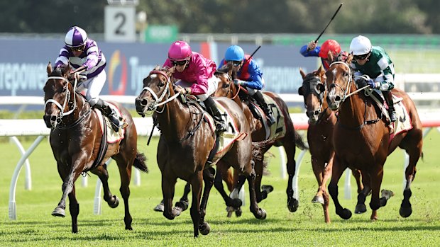 Fangirl (pink colours), pictured winning the Apollo Stakes at Randwick in February, will start favourite in the $1 million 7 Stakes on Saturday.