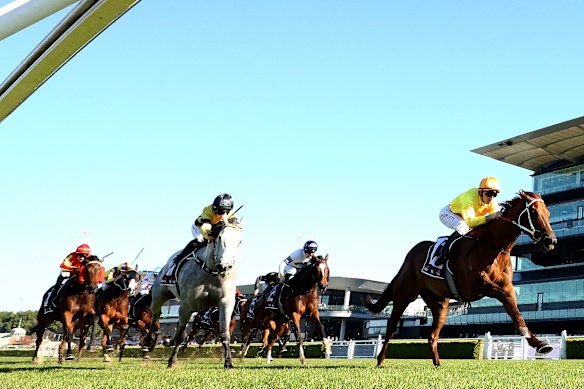 Callistemon wins at Randwick on Saturday earlier this year.