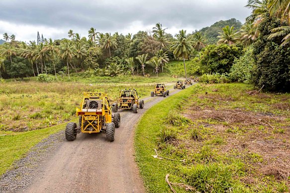 A bush-bashing dune buggy ride … Raro Buggy Tours.