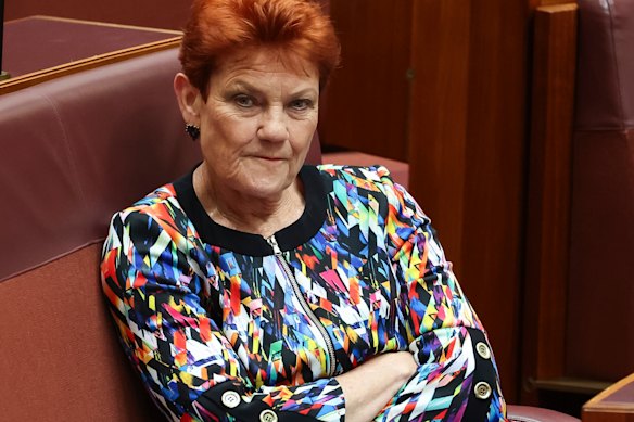 One Nation leader Pauline Hanson before being suspended from the Senate on Tuesday.