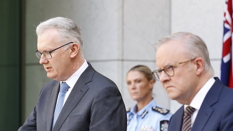 re-electing Burke the ‘only hope’ of bringing ISIS brides home