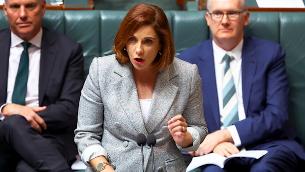 Communications Minister Anika Wells will meet with social media giants this week.