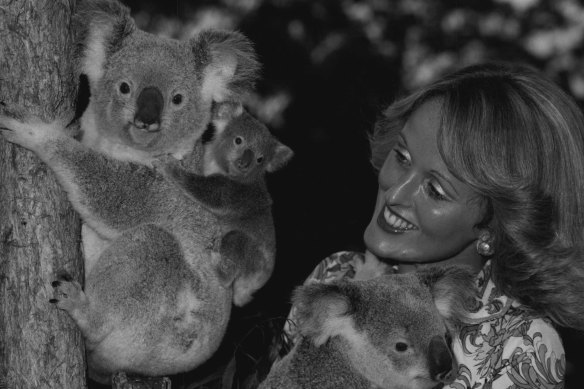 Teddy’s successors, about to leave Brisbane for San Diego, pictured with Qantas cabin crew member (“flight hostess”) Elizabeth Yates in 1976.