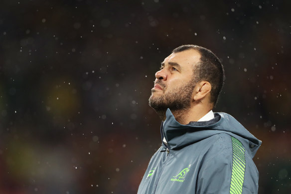 Former Wallabies coach Michael Cheika at the 2019 Rugby World Cup.