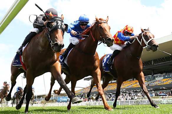 Snitzel Miss (right) runs third behind Tempted (middle) in the Widden Stakes in February.