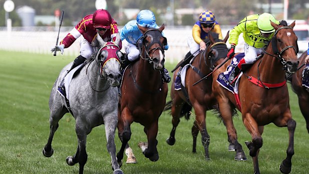 There are eight races scheduled for Cowra on Sunday.