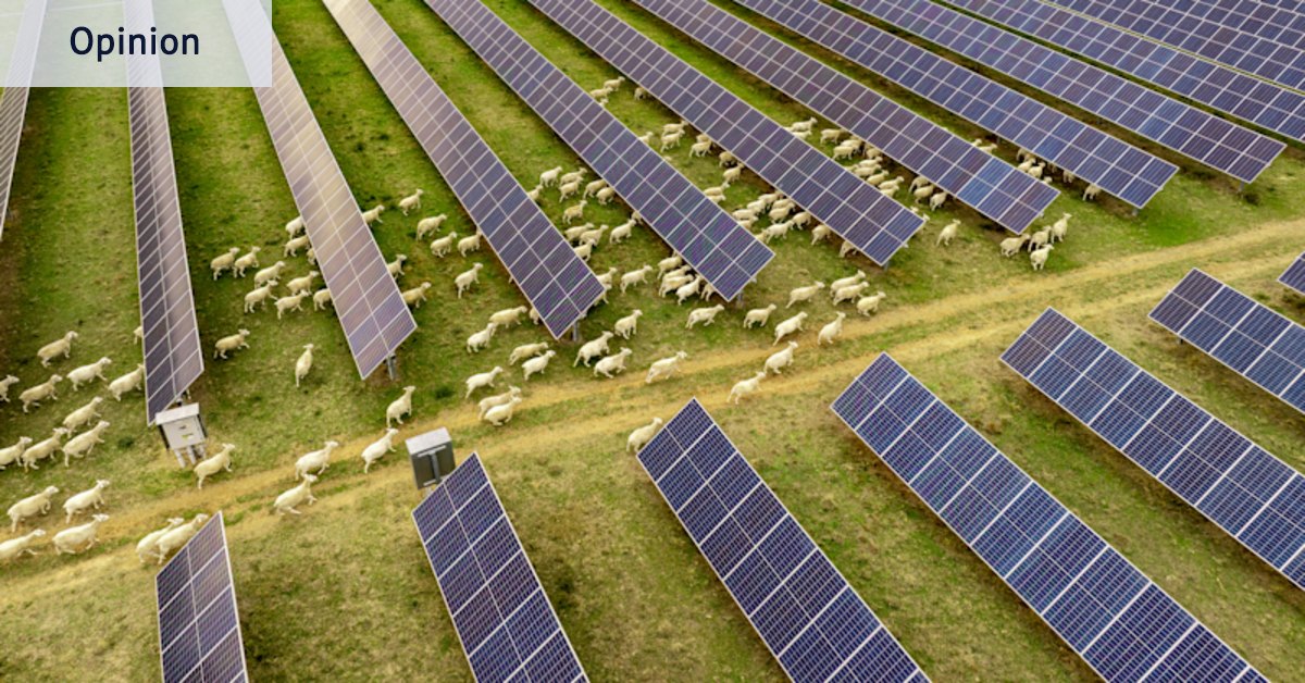 This ‘energy crisis’ is fixable. We already have the answers