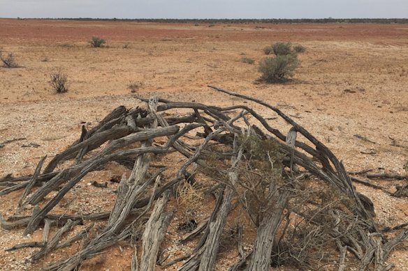 A Gunyah (house) on Mithaka Country.