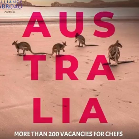A screenshot from an Alliance Abroad promotional video about life in Australia.
