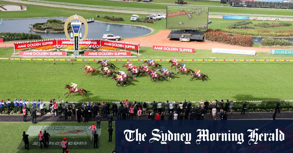 Racing NSW takes action as Australian Turf Club saddled with m CBA loan