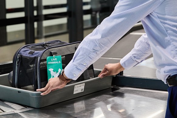 Going through security scanning as usual.