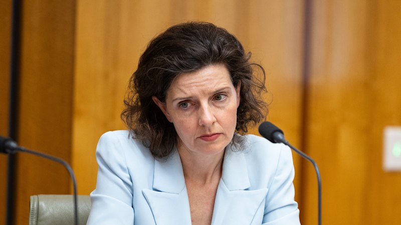 Allegra Spender’s plan for tax reform